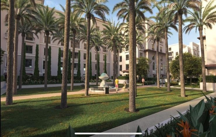 درة زايد الجديدة