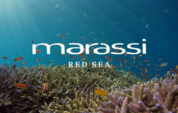 مراسي البحر الاحمر