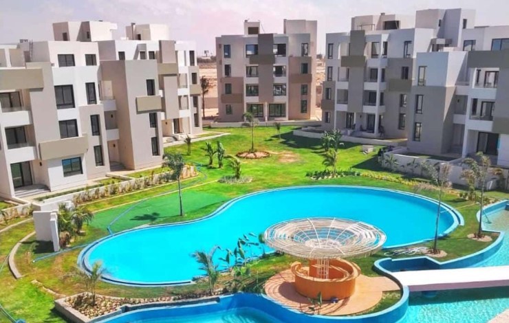 زهرة سيدي عبد الرحمن